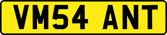 VM54ANT