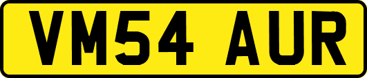 VM54AUR