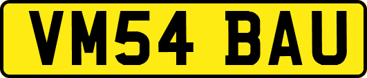 VM54BAU