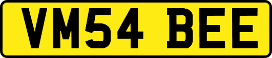 VM54BEE