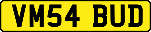 VM54BUD