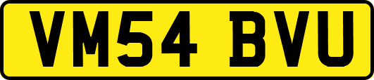 VM54BVU