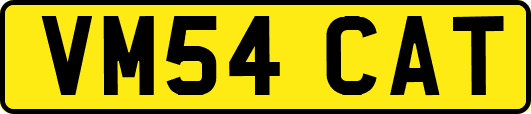 VM54CAT