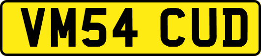 VM54CUD