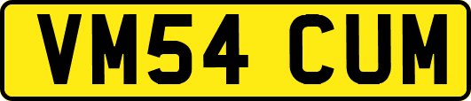 VM54CUM
