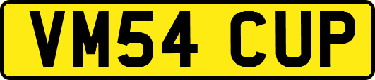 VM54CUP
