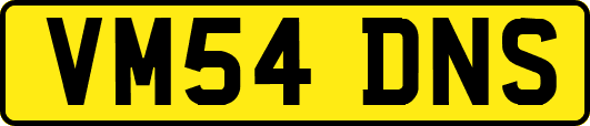 VM54DNS