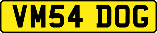 VM54DOG