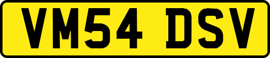 VM54DSV