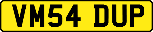 VM54DUP