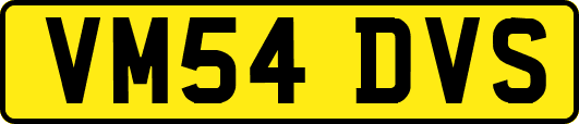 VM54DVS