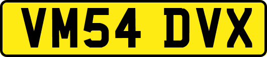 VM54DVX