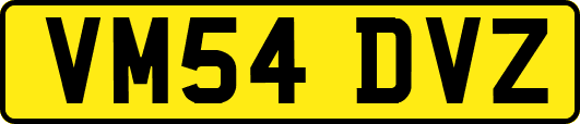 VM54DVZ
