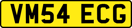 VM54ECG