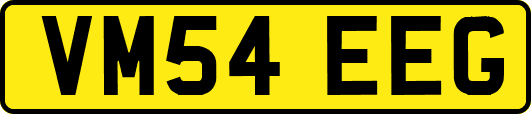 VM54EEG