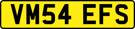 VM54EFS