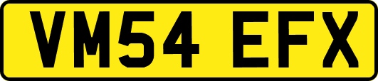 VM54EFX