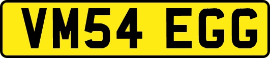 VM54EGG