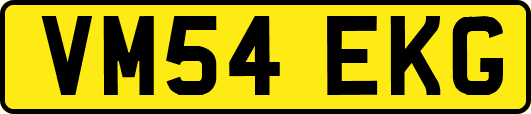 VM54EKG