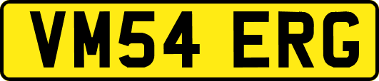 VM54ERG
