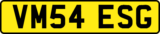 VM54ESG