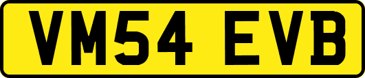 VM54EVB