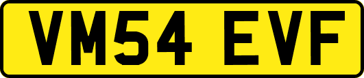 VM54EVF