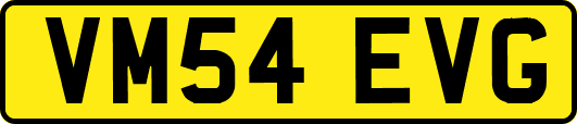 VM54EVG