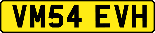 VM54EVH