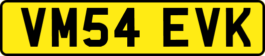 VM54EVK