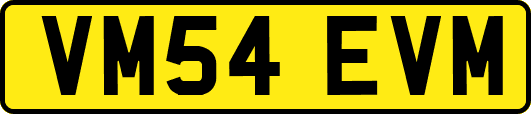 VM54EVM