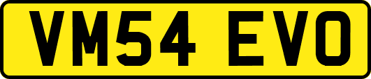 VM54EVO