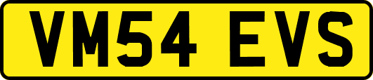 VM54EVS