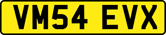 VM54EVX