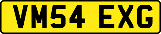 VM54EXG