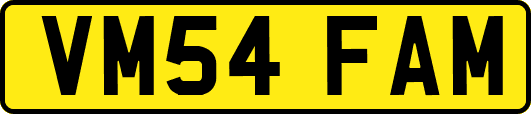 VM54FAM