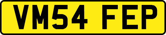 VM54FEP