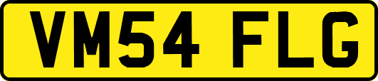VM54FLG