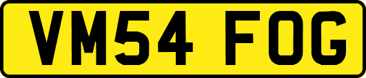 VM54FOG