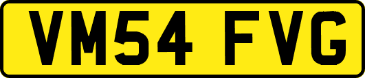VM54FVG