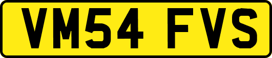 VM54FVS