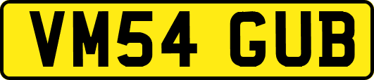 VM54GUB