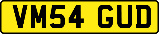 VM54GUD