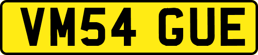 VM54GUE