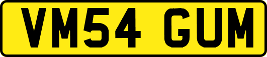 VM54GUM