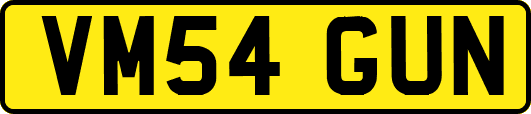 VM54GUN