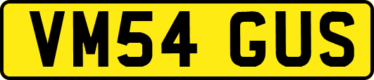 VM54GUS