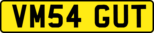 VM54GUT