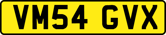 VM54GVX