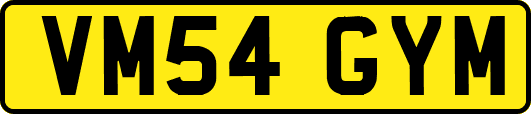 VM54GYM